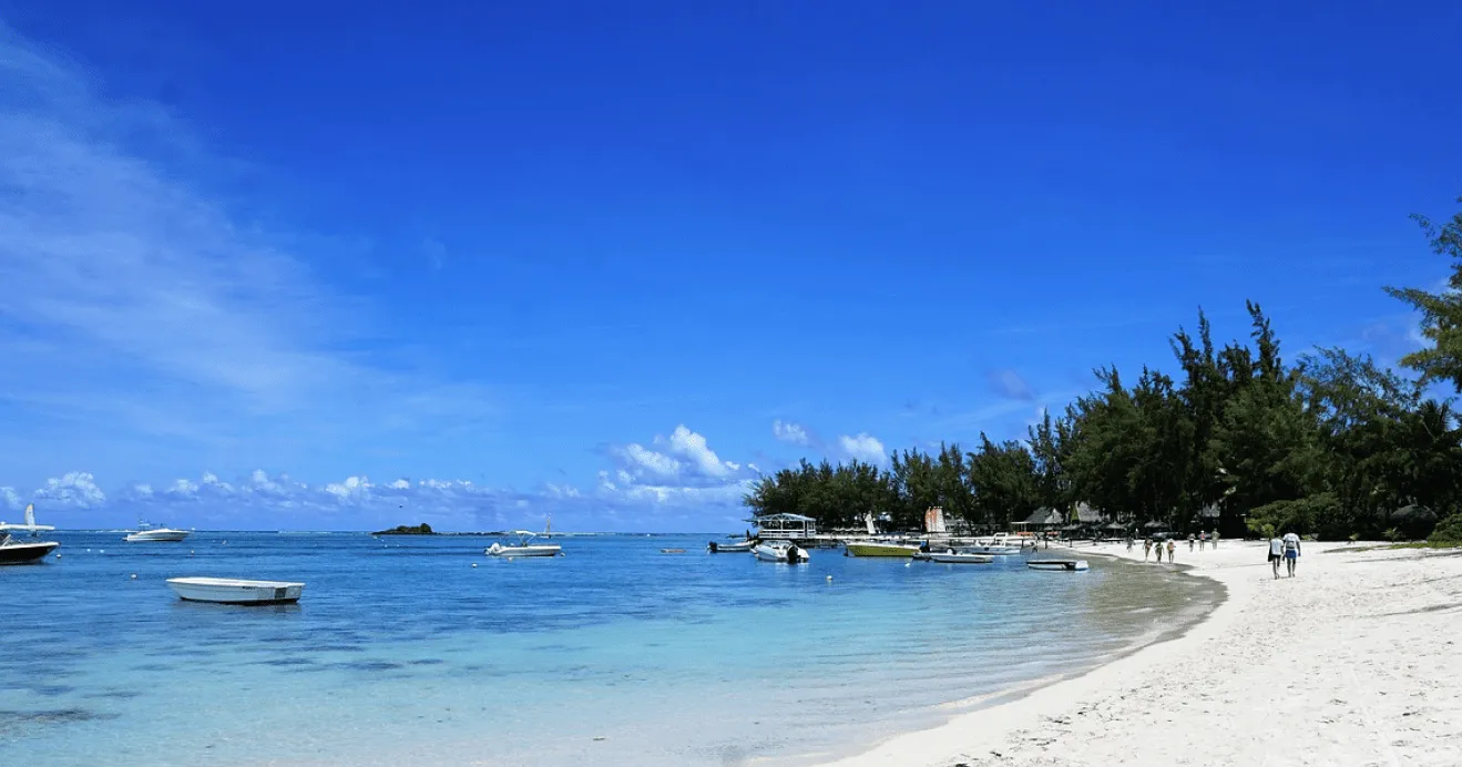 Mauritius Beach View