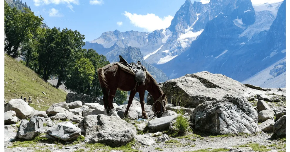 Jammu Kashmir Image 3